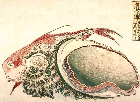 Hokusai, Awabi ou ormeau