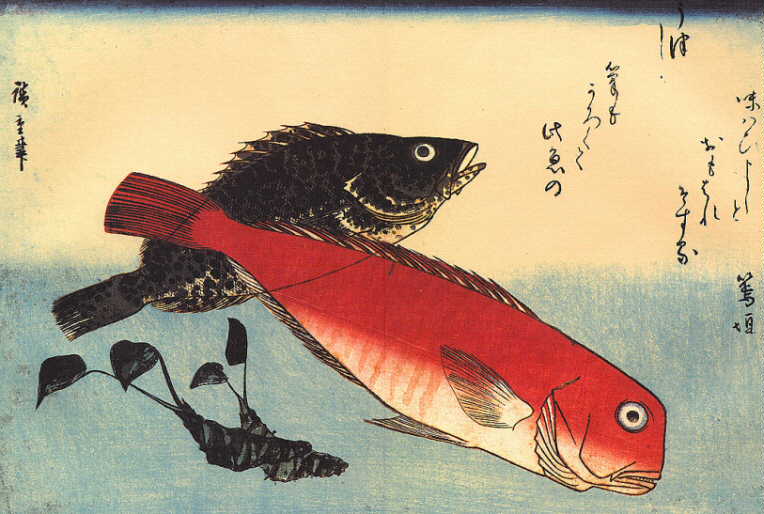 Hiroshige Omon hata (mérou à taches jaunes) et Shiro (Tile, Branchiostegus argentatus)