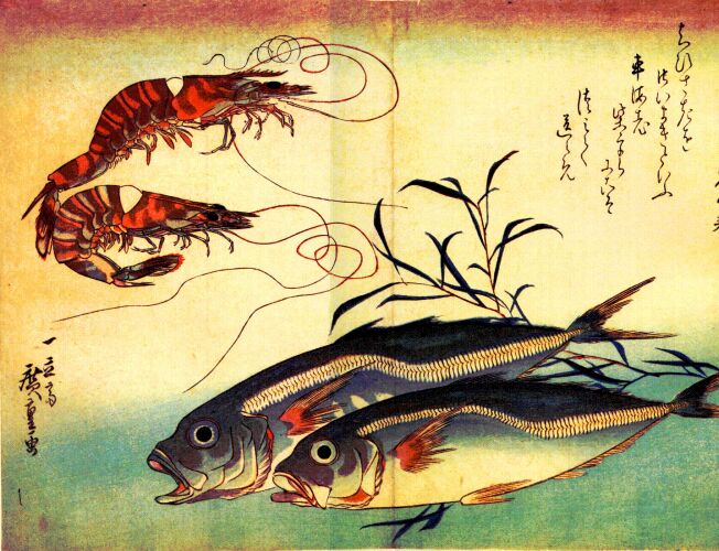 Hiroshige : Ebi (crevettes) et Aji (chinchards) 