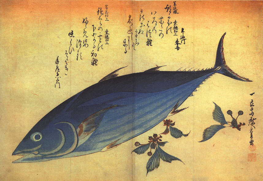 Hiroshige : Katsuo (bonite, listao)