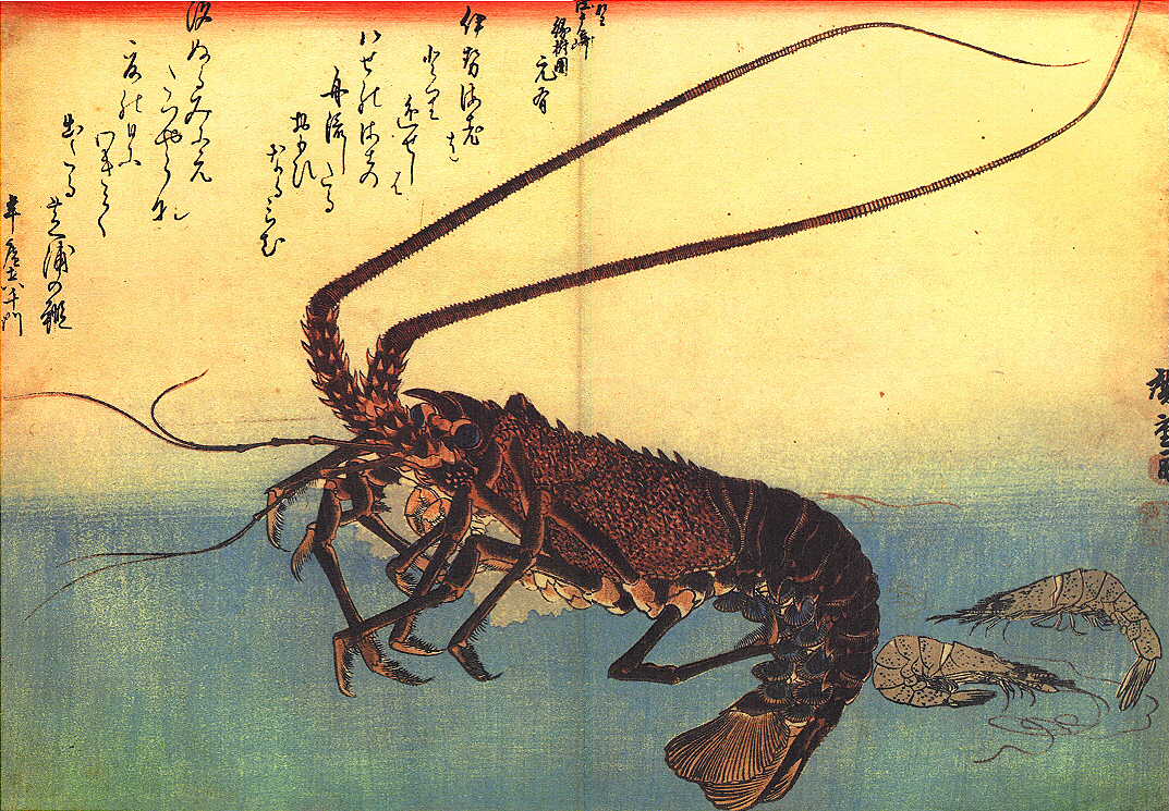 Hiroshige : Isebi et Ebi, langouste et crevette