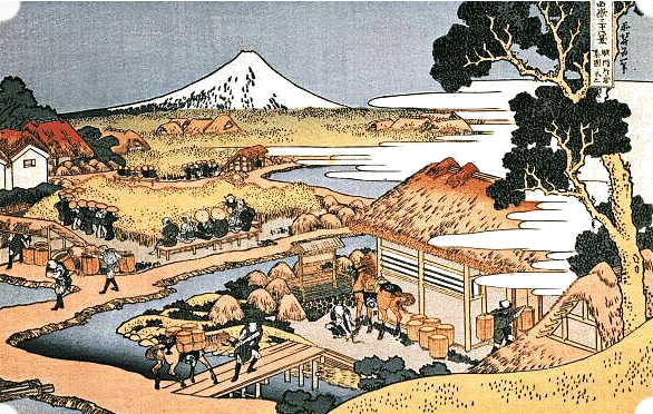 Plantations de Thé, Hokusai