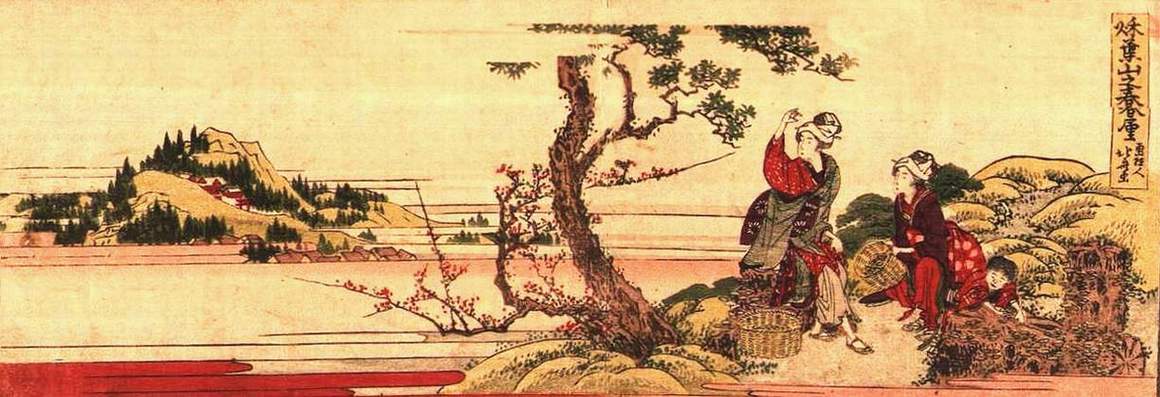  Hokusai : récolte de champignons