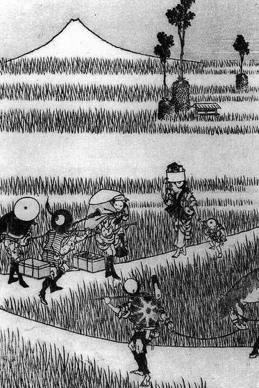 Hokusai : rizières et sanctuaire d'Inari, mont Fuji