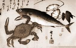 Hiroshige Crabe et maquereau (Saba et Kani)